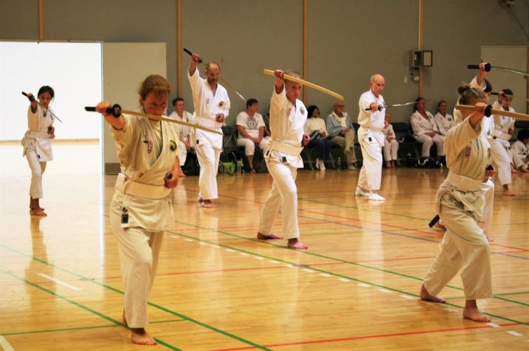 Træning med træ katana